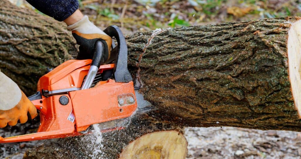 Treewurk worker using a chainsaw to cut a tree into pieces.