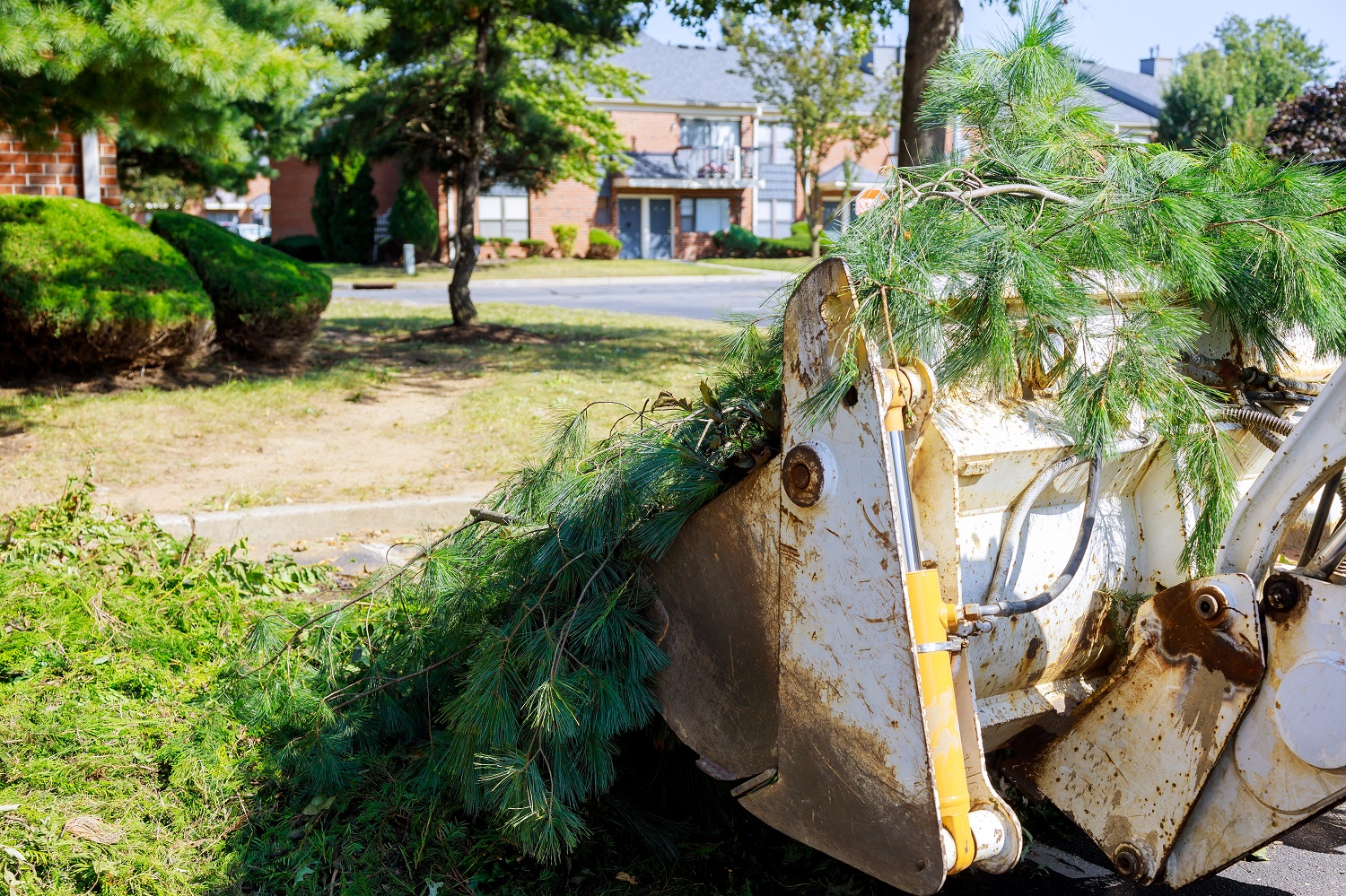 A bulldozer with a large bucket is carrying a load of tree branches and foliage. It is parked on a suburban street in front of a row of houses surrounded by green lawns and trees, clearly involved in land clearing operations to keep the neighborhood safe and tidy.