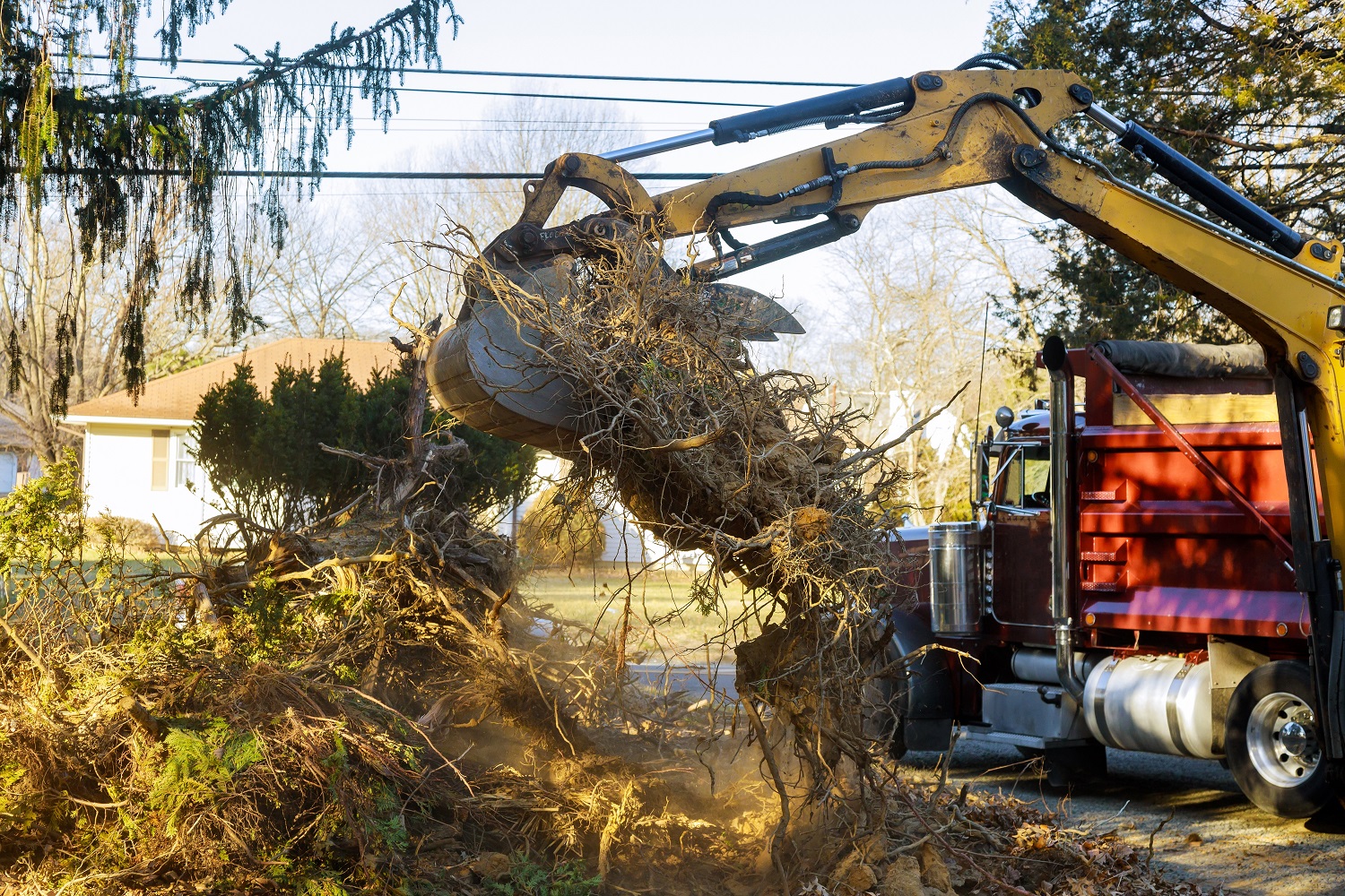 An excavator lifts a large cluster of roots and dirt into a red dump truck on a residential street, showcasing efficient land clearing. The surrounding area has trees, houses, and power lines, all illuminated by bright daylight.