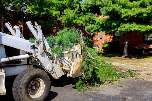 A front loader collects branches and leaves on a residential street, suggesting recent land clearing efforts. The background includes a brick building, lush green trees, and a sidewalk. The loader's bucket is filled with freshly cut limbs, indicative of tree trimming or yard maintenance activities.