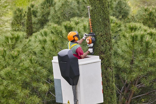 A worker in a utility bucket high off the ground uses a chainsaw to trim tall trees, providing essential tree service. The worker wears safety gear, including a helmet, glasses, ear protection, and a reflective vest. Lush green trees surround the scene.