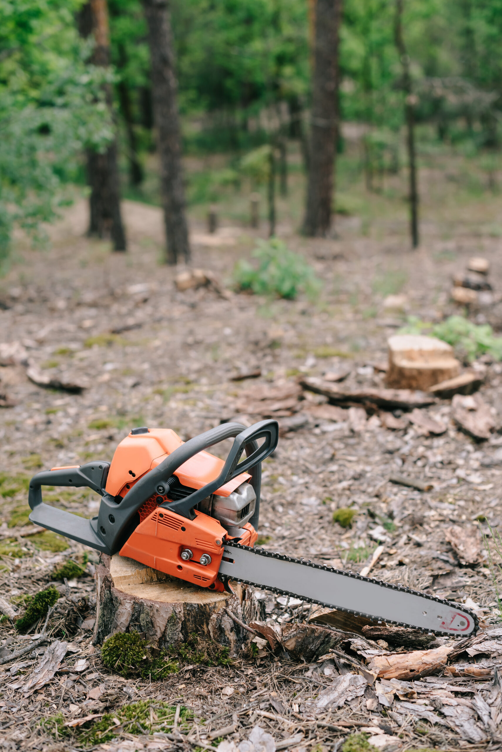 Tree service Acworth GA: Photo of chainsaw in forest