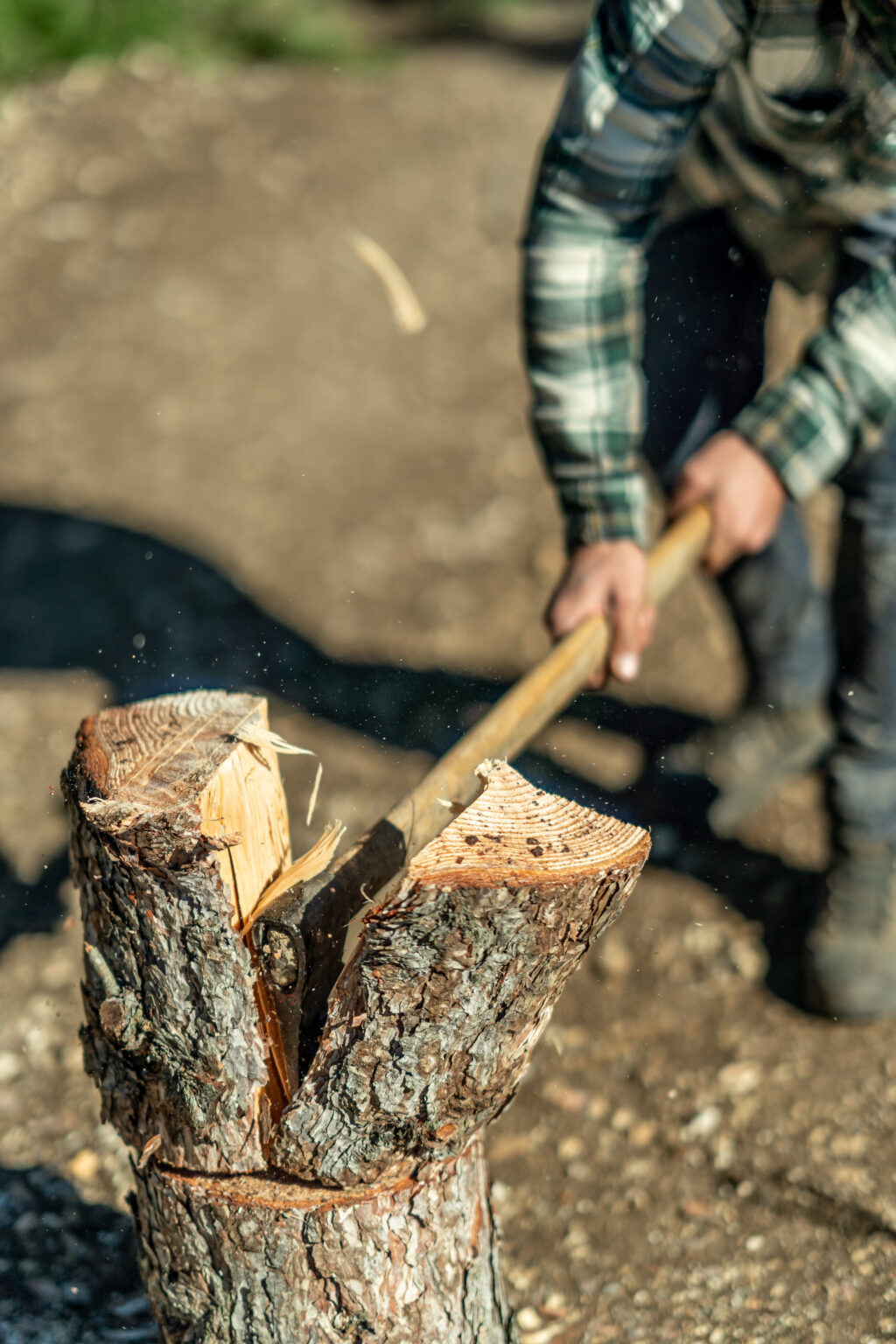 Tree stump removal service: Photo of tree stump being removed