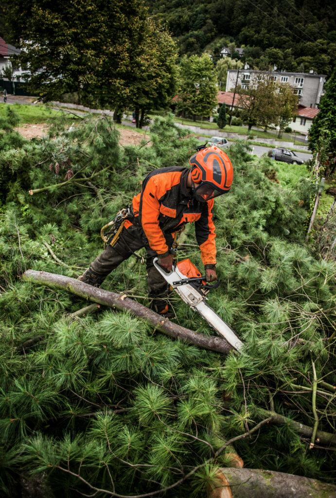 Tree trimming Marietta GA: Man cutting down trees