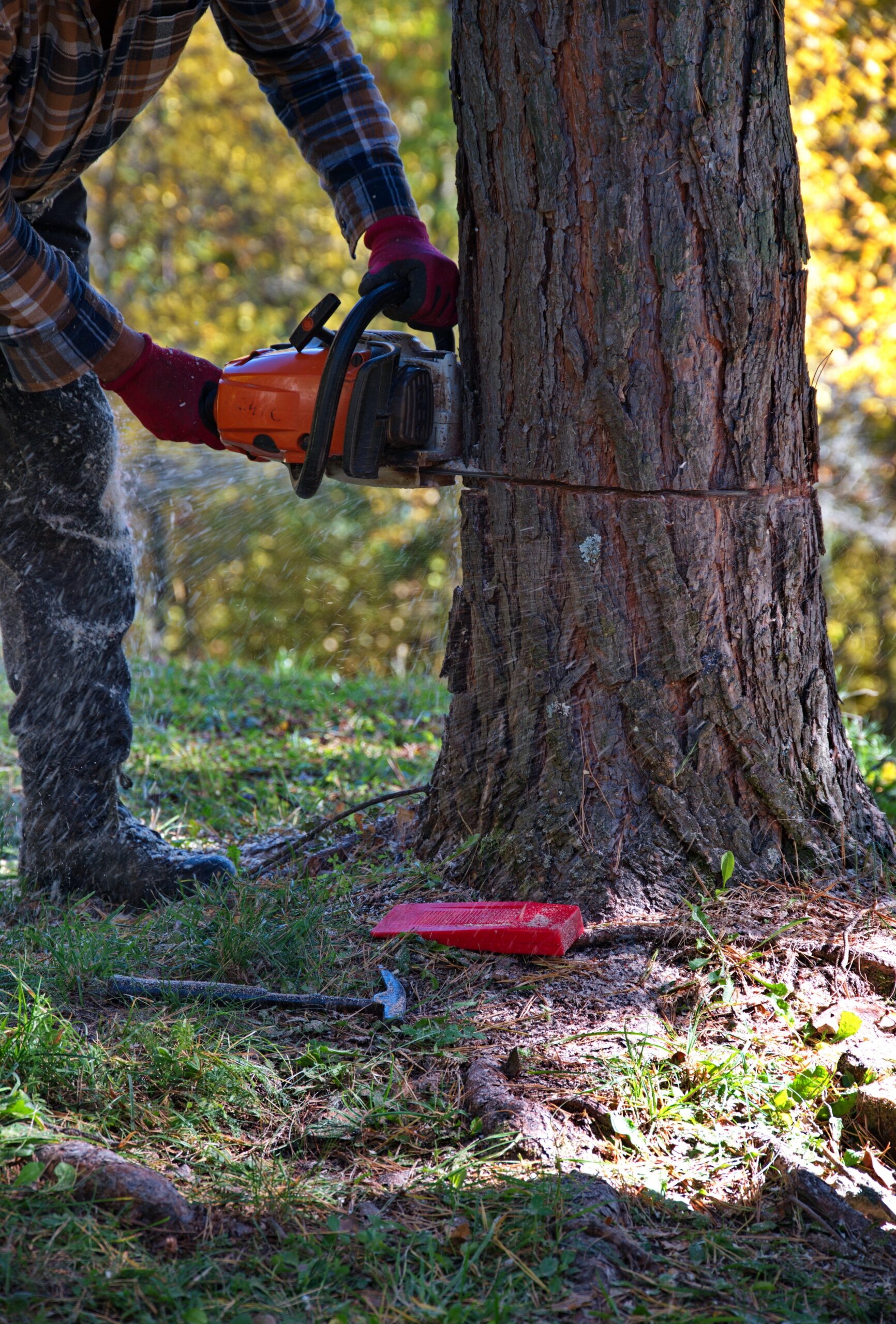 Woodstock tree service: Arborist cutting down a tree