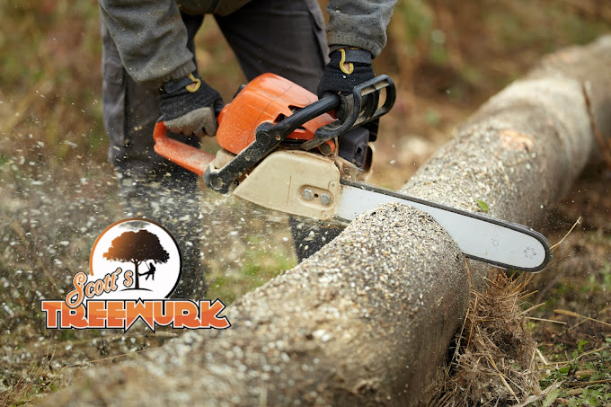 A person using an orange and white chainsaw to cut a large log. Wood chips are flying around. The logo "Scott's Treewrk" with a tree illustration is visible in the foreground.